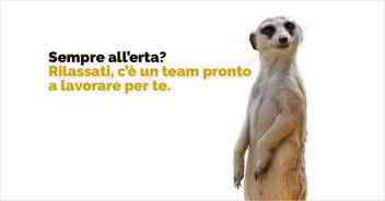 Sempre all'erta? Rilassati, c'è un team pronto a lavorare per te. Outsource marketing team Eclettica Akura