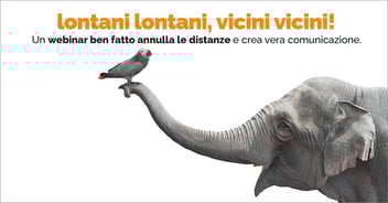 lontani lontani, vicini vicini! Un webinar ben fatto annulla le distanze e crea vera comunicazione. | Eclettica Akura, Torino
