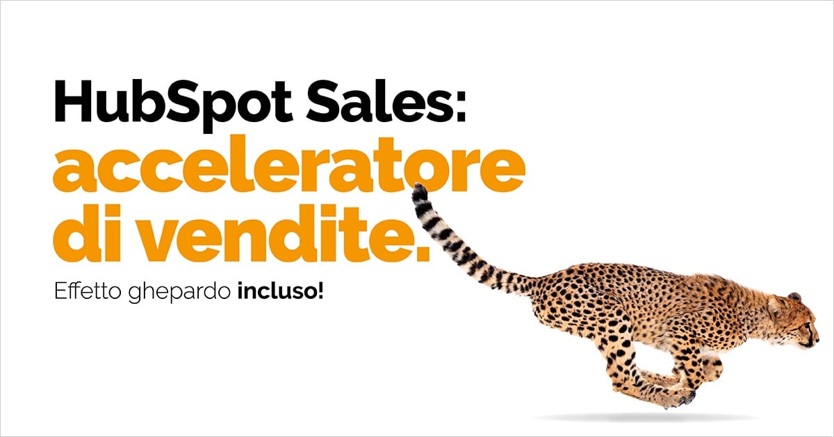 HubSpot Sales, acceleratore delle vendite - Eclettica Akura Provider