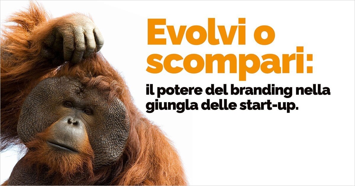 Branding start-up. Evolvi o scompari